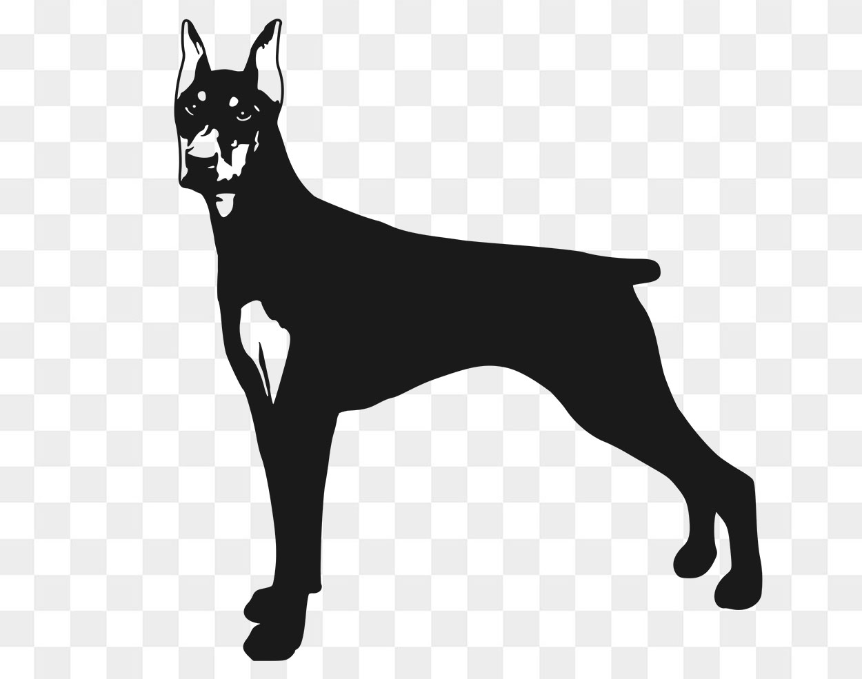 Free Doberman Vector Dog Svg - FreeSvgCut.org