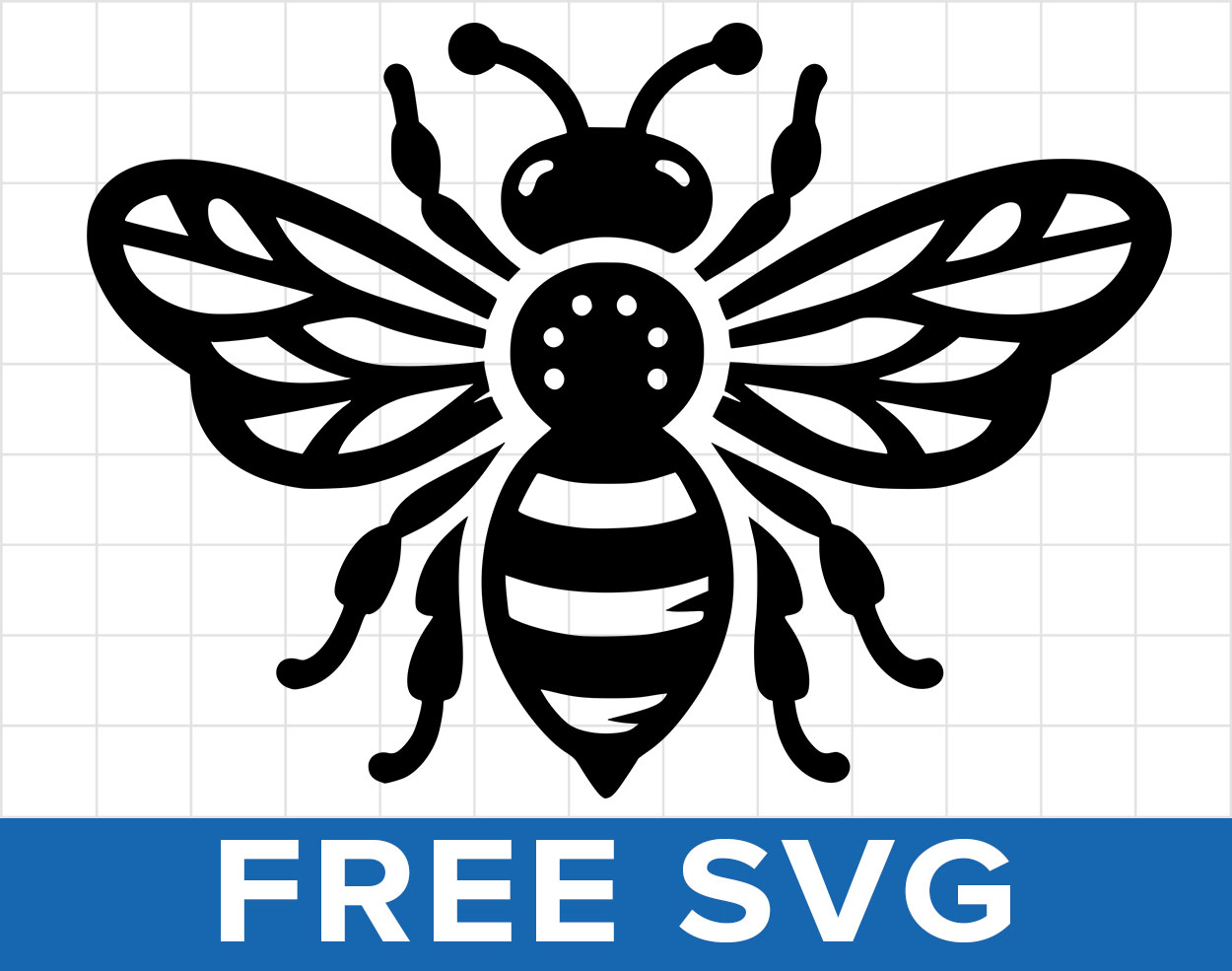 Bee Svg