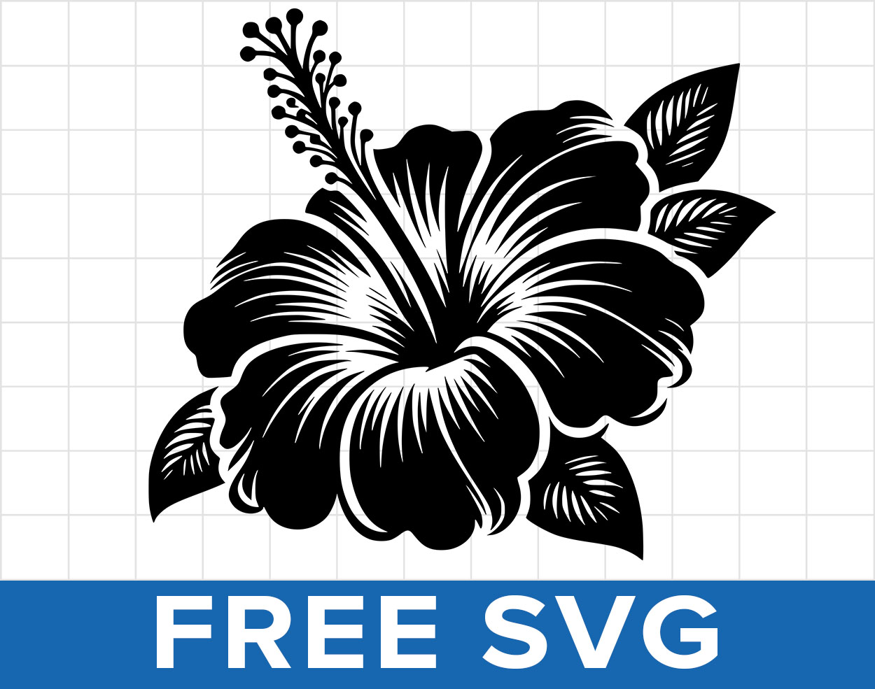 Free Hibiscus Flower Svg