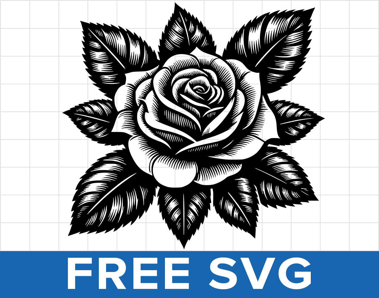 Free Rose Flower Svg
